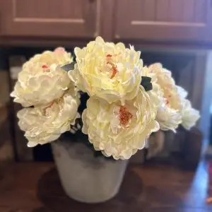 Peony Bush