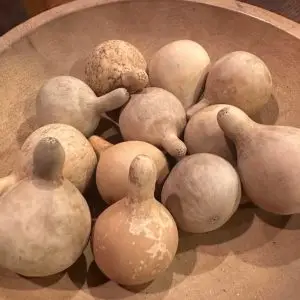 Spinner Gourds