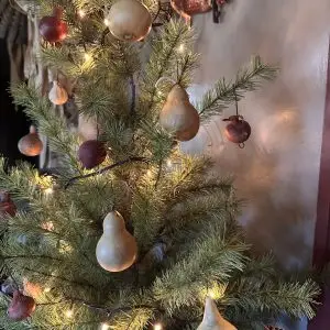 Ornament Gourds